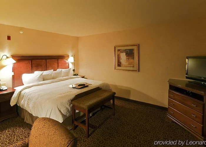 Hotel Hampton 3*