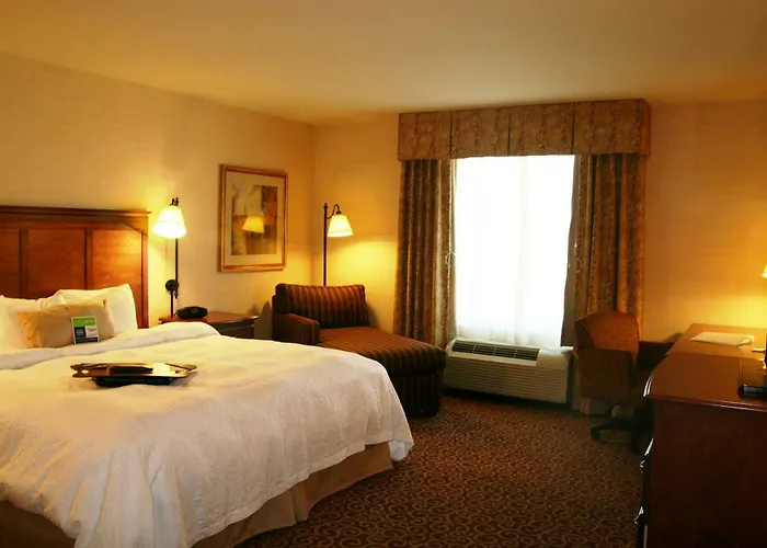 Hotel Hampton 3*